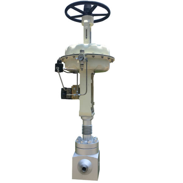 Bellow Sealed Valve