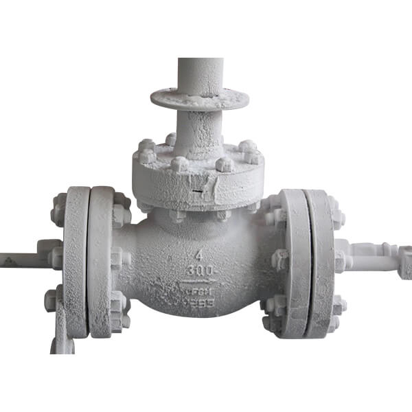 Cryogenic Globe Valve