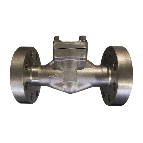 Lift Check Valve