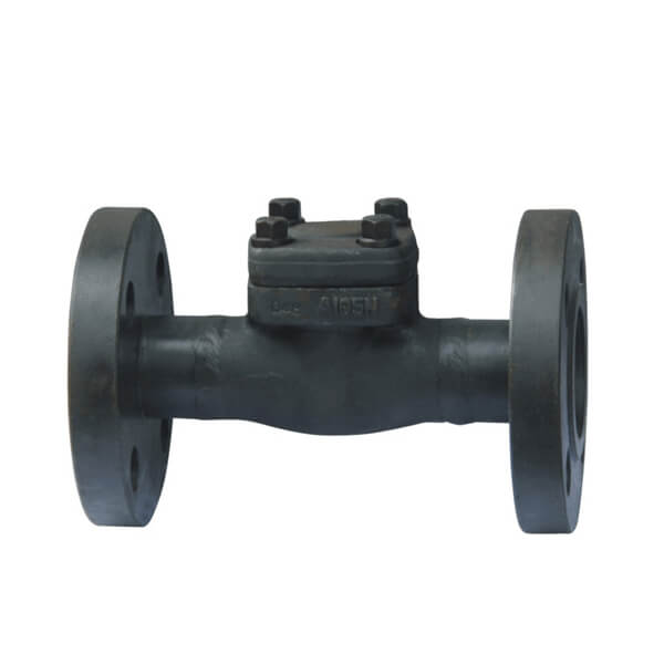 Forged Check Valve